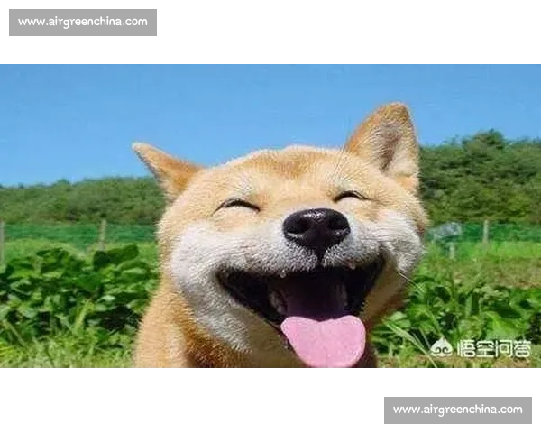 那些勾人微笑的表情：藏着时光的甜