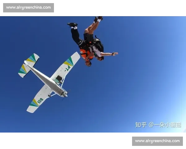 96 名跨国跳伞者空中牵手创纪录：极限运动中的全球协作